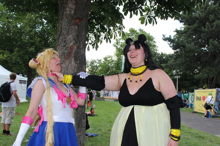 IMG 4511