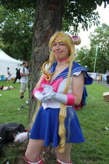 IMG 4529