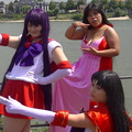 PIC 0333